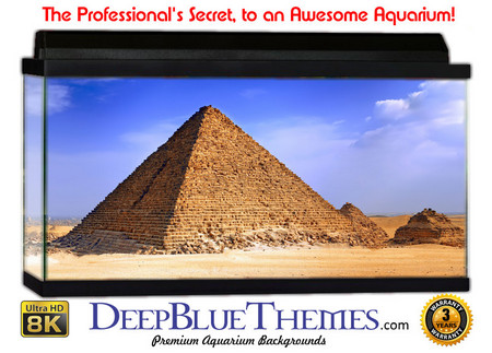 Buy Aquarium Background Ruins Egypt Aquarium Background