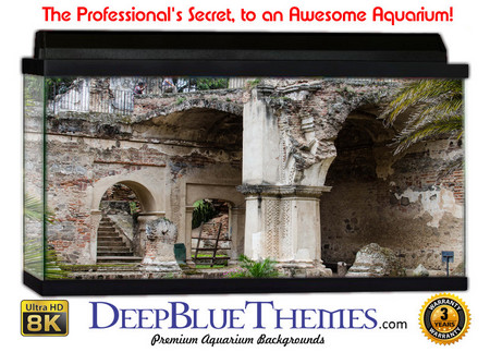 Buy Aquarium Background Ruins Entry Aquarium Background