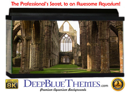 Buy Aquarium Background Ruins Hallway Aquarium Background