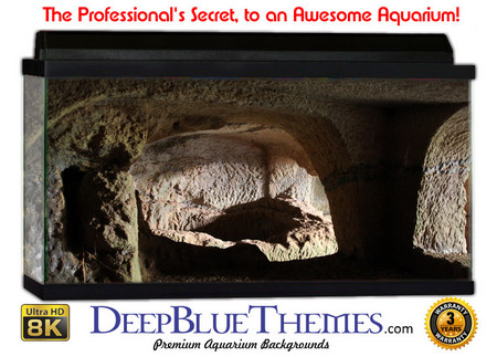 Buy Aquarium Background Ruins Livingroom Aquarium Background