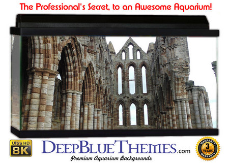 Buy Aquarium Background Ruins Majestic Aquarium Background