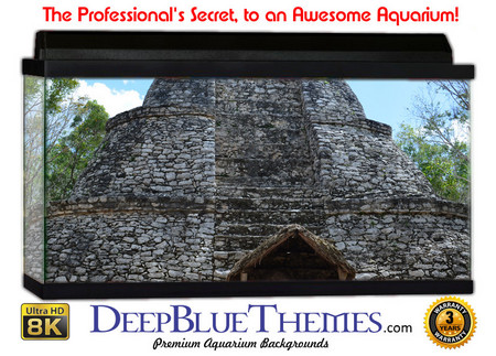 Buy Aquarium Background Ruins Meeting Aquarium Background