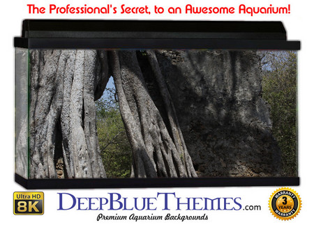 Buy Aquarium Background Ruins Nature Aquarium Background