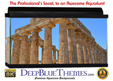 Buy Aquarium Background Ruins Olympus Aquarium Background