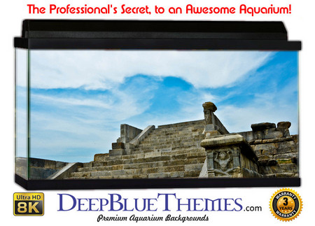 Buy Aquarium Background Ruins Pari Aquarium Background