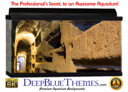 Buy Aquarium Background Ruins Pathway Aquarium Background