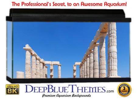 Buy Aquarium Background Ruins Poseidon Aquarium Background