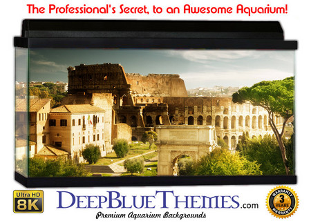 Buy Aquarium Background Ruins Rome Aquarium Background