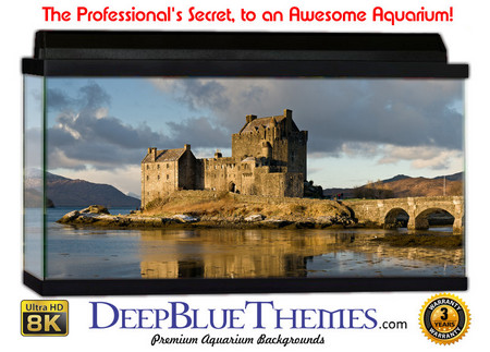 Buy Aquarium Background Ruins Scotland Aquarium Background