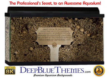 Buy Aquarium Background Ruins Sign Aquarium Background