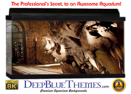 Buy Aquarium Background Ruins Skull Aquarium Background