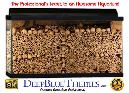 Buy Aquarium Background Ruins Skullwall Aquarium Background