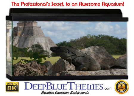Buy Aquarium Background Ruins Sky Aquarium Background
