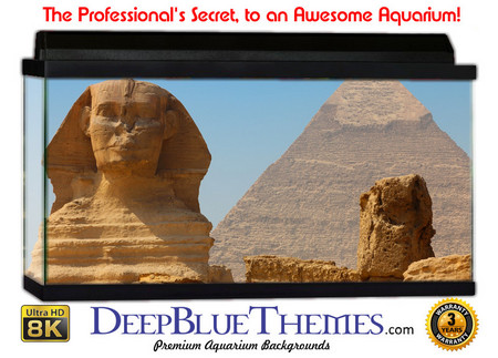 Buy Aquarium Background Ruins Sphynx Aquarium Background
