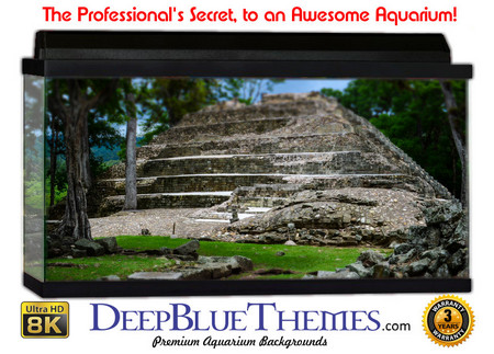 Buy Aquarium Background Ruins Stairs Aquarium Background