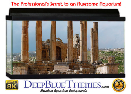 Buy Aquarium Background Ruins Tall Aquarium Background