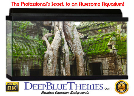 Buy Aquarium Background Ruins Tree Aquarium Background