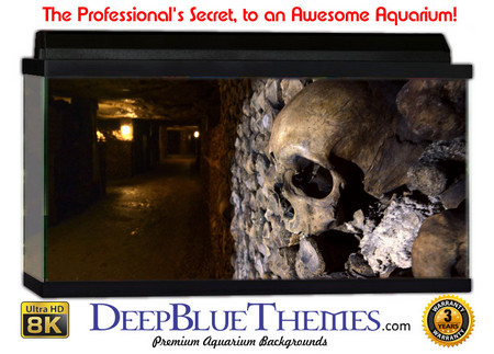 Buy Aquarium Background Ruins Welcome Aquarium Background