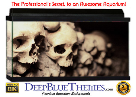 Buy Aquarium Background Ruins White Aquarium Background