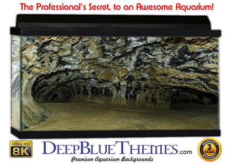 Buy Aquarium Background Ruins Widecave Aquarium Background
