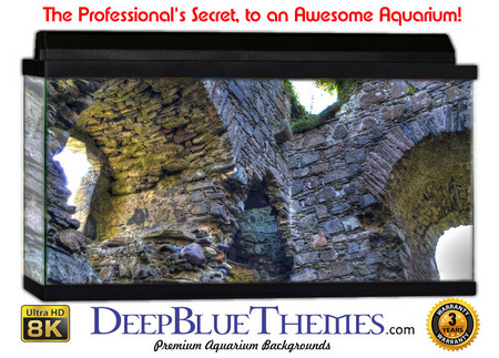 Buy Aquarium Background Ruins Window Aquarium Background