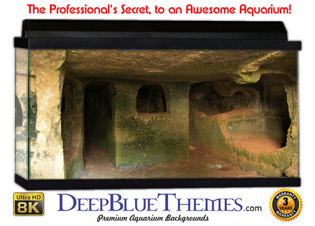 Buy Aquarium Background Ruins Windows Aquarium Background