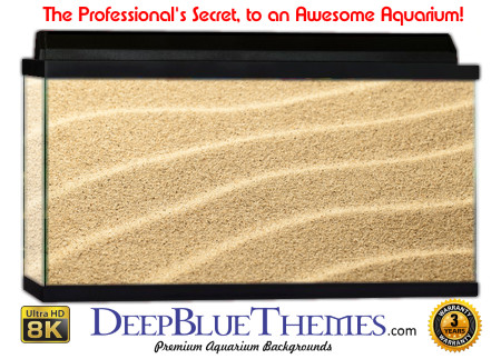 Buy Aquarium Background Sand Angle Aquarium Background