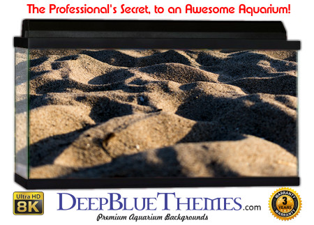 Buy Aquarium Background Sand Beach Aquarium Background