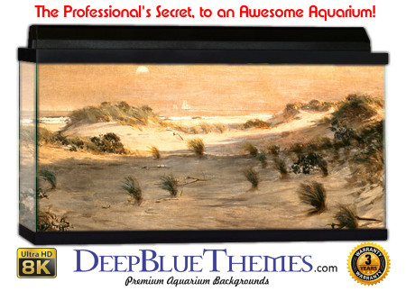 Buy Aquarium Background Sand Beautiful Aquarium Background