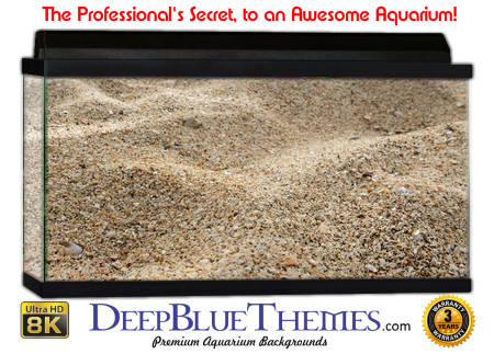 Buy Aquarium Background Sand Corse Aquarium Background