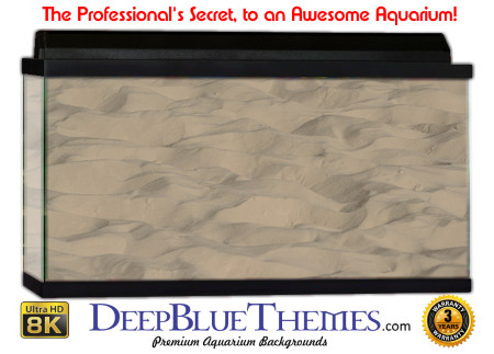 Buy Aquarium Background Sand Distance Aquarium Background