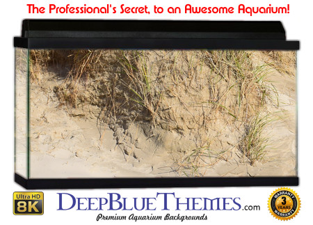 Buy Aquarium Background Sand Edge Aquarium Background