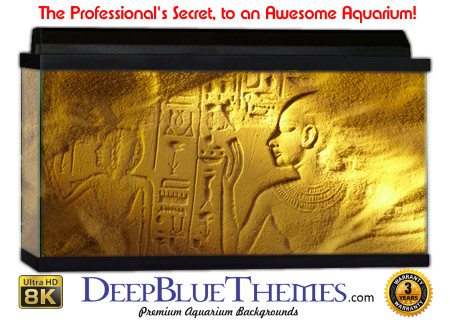 Buy Aquarium Background Sand Egypt Aquarium Background