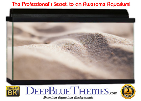 Buy Aquarium Background Sand Focal Aquarium Background