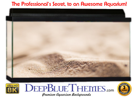 Buy Aquarium Background Sand Focus Aquarium Background