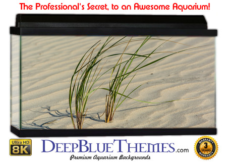 Buy Aquarium Background Sand Grass Aquarium Background