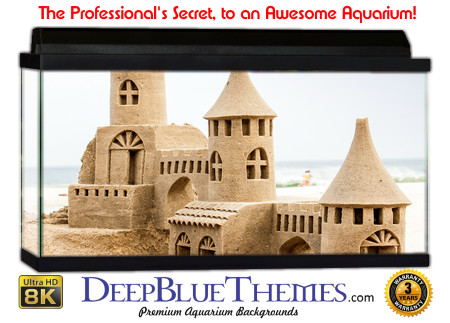 Buy Aquarium Background Sand Hobbit Aquarium Background