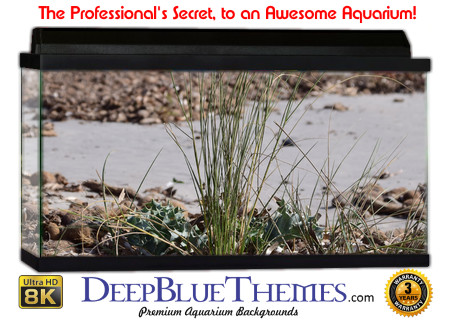 Buy Aquarium Background Sand Mixed Aquarium Background