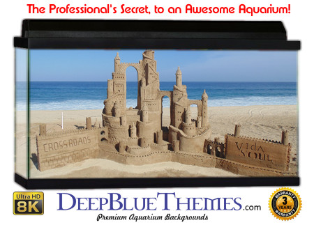 Buy Aquarium Background Sand Nice Aquarium Background