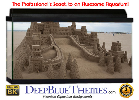 Buy Aquarium Background Sand Path Aquarium Background