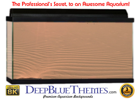 Buy Aquarium Background Sand Pattern Aquarium Background