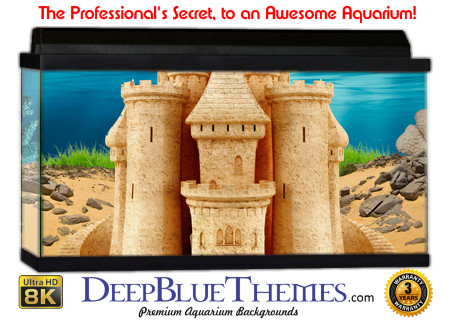 Buy Aquarium Background Sand Perfection Aquarium Background
