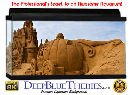 Buy Aquarium Background Sand Pumpkin Aquarium Background