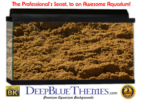Buy Aquarium Background Sand Rough Aquarium Background