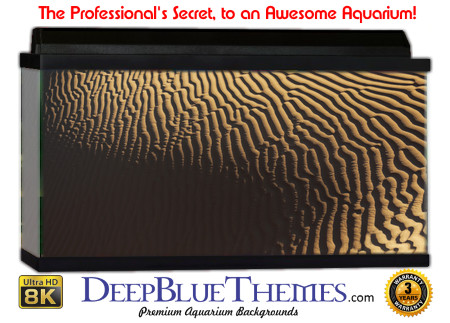 Buy Aquarium Background Sand Shadow Aquarium Background
