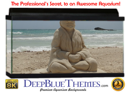 Buy Aquarium Background Sand Sitting Aquarium Background