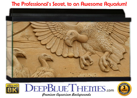 Buy Aquarium Background Sand Vultures Aquarium Background