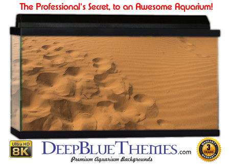 Buy Aquarium Background Sand Walk Aquarium Background
