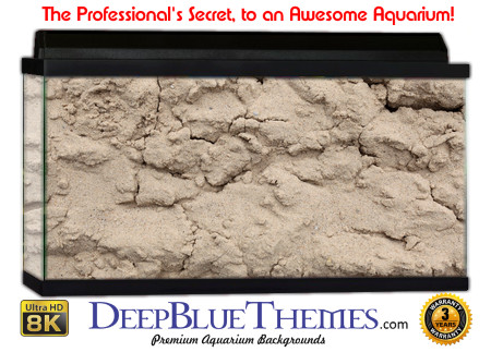 Buy Aquarium Background Sand Wet Aquarium Background