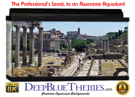 Buy Aquarium Background Scene Ancient Aquarium Background